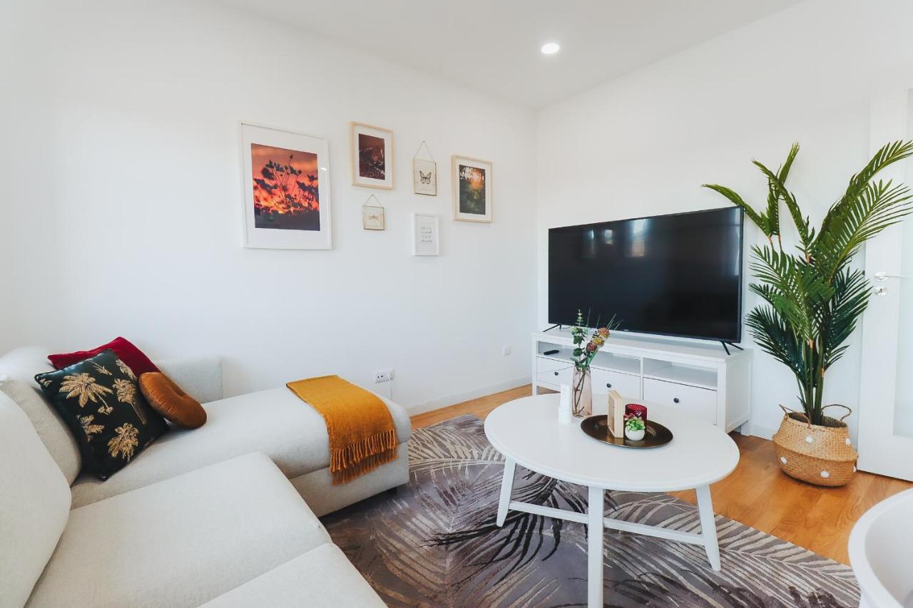 Gabriela Apartament - Perto Do Centro Com Vista Para Santa Luzia ビアナドカステロ エクステリア 写真